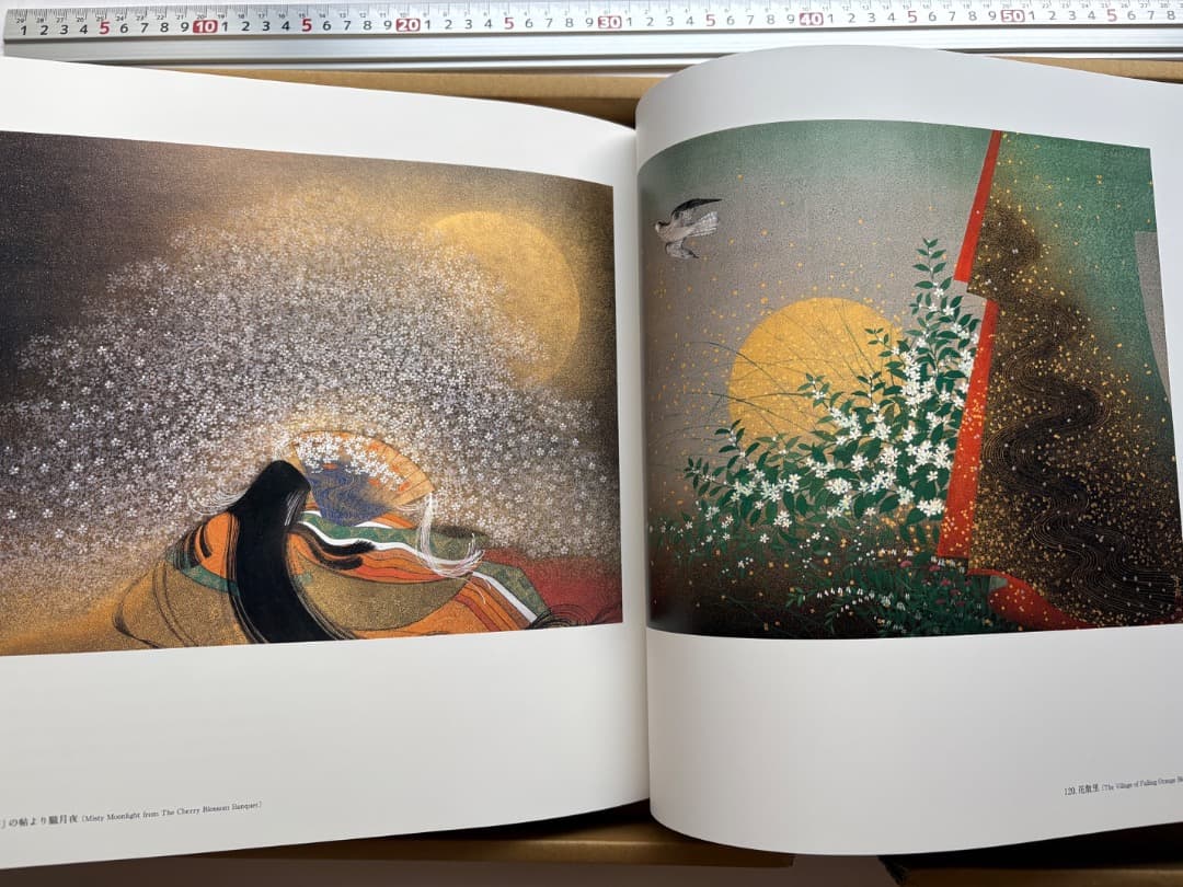 石踊達哉　作品集　絵画　日本画　図録　大型本画集