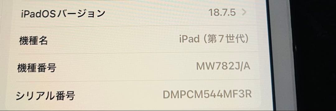 iPad (第7世代) 128GB Wi-Fi シルバー　付属品有り