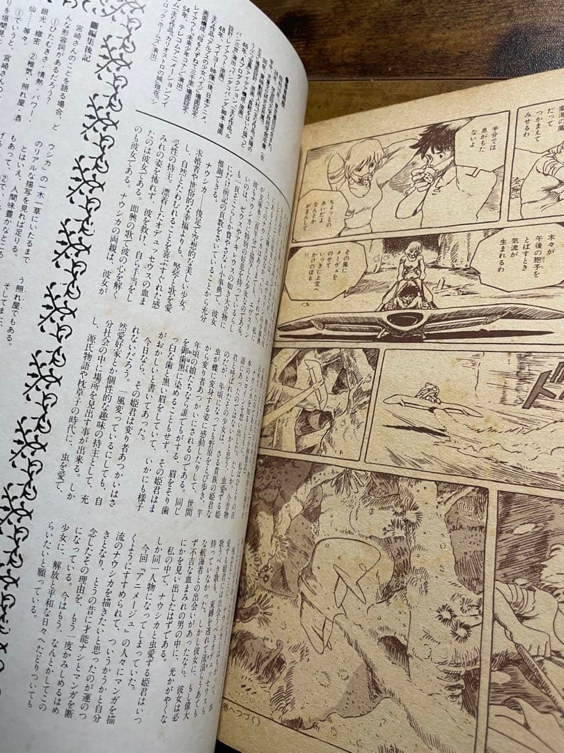 d※　風の谷のナウシカ 初版＋ となりのトトロ 火垂るの墓 チラシ付き
