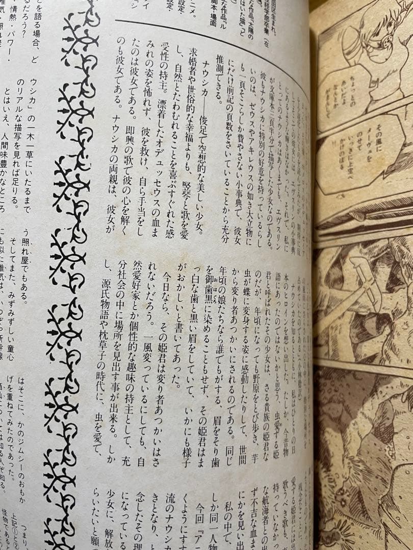 d※　風の谷のナウシカ 初版＋ となりのトトロ 火垂るの墓 チラシ付き