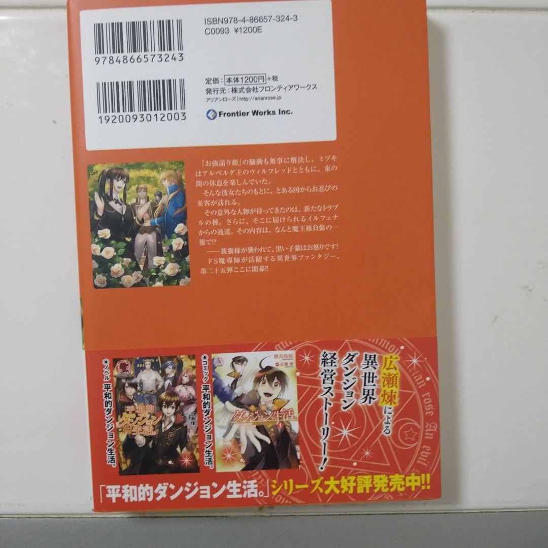 魔導師は平凡を望む 1-25巻セット