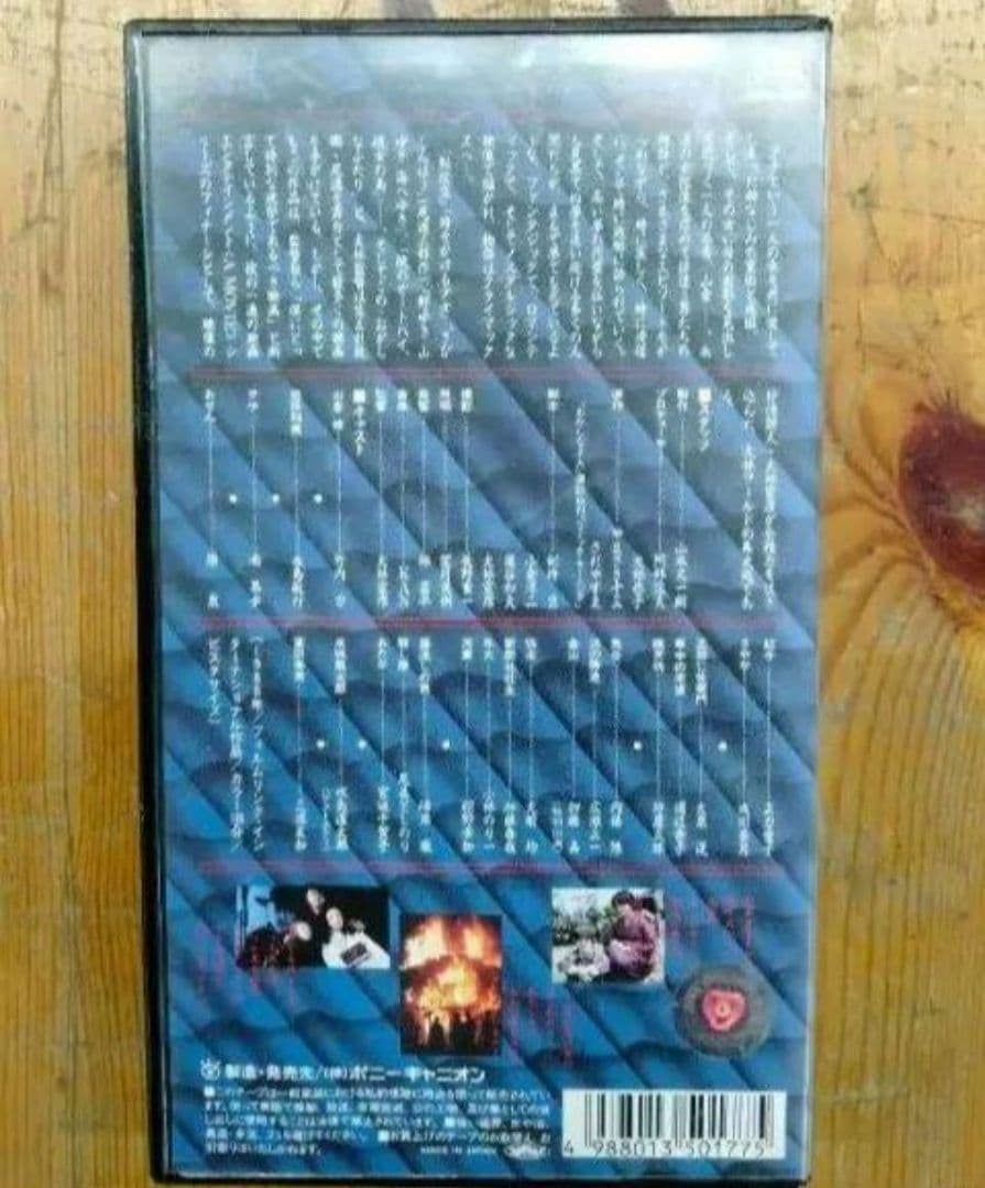 大林宣彦 永島敏行 日本殉情伝 おかしなふたり~ものくるほし ビデオ VHS