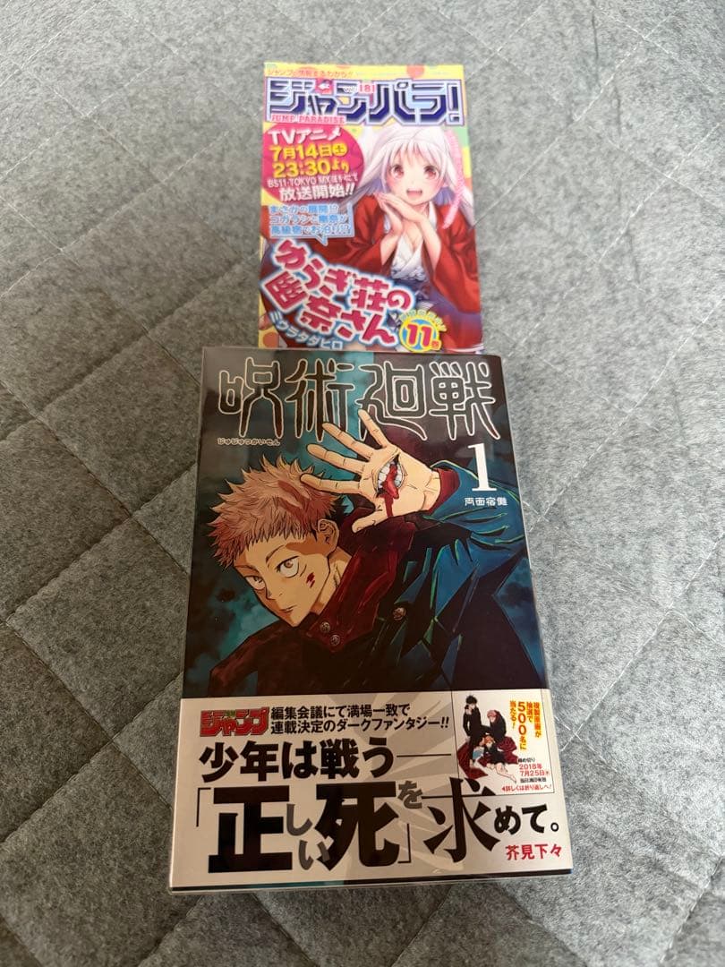 【全巻初版】呪術廻戦 0〜16巻＋公式ファンブック＋ジャンパラ付き