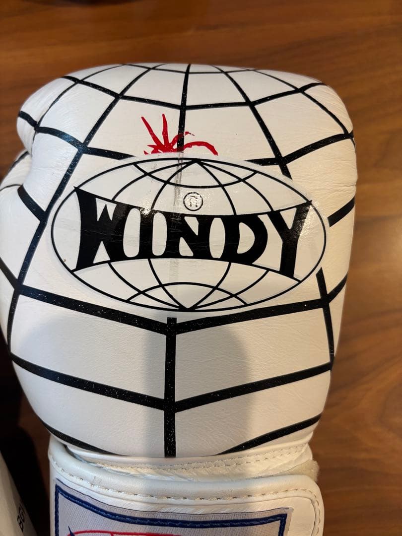 ディグ　WINDY ボクシンググローブ ホワイト