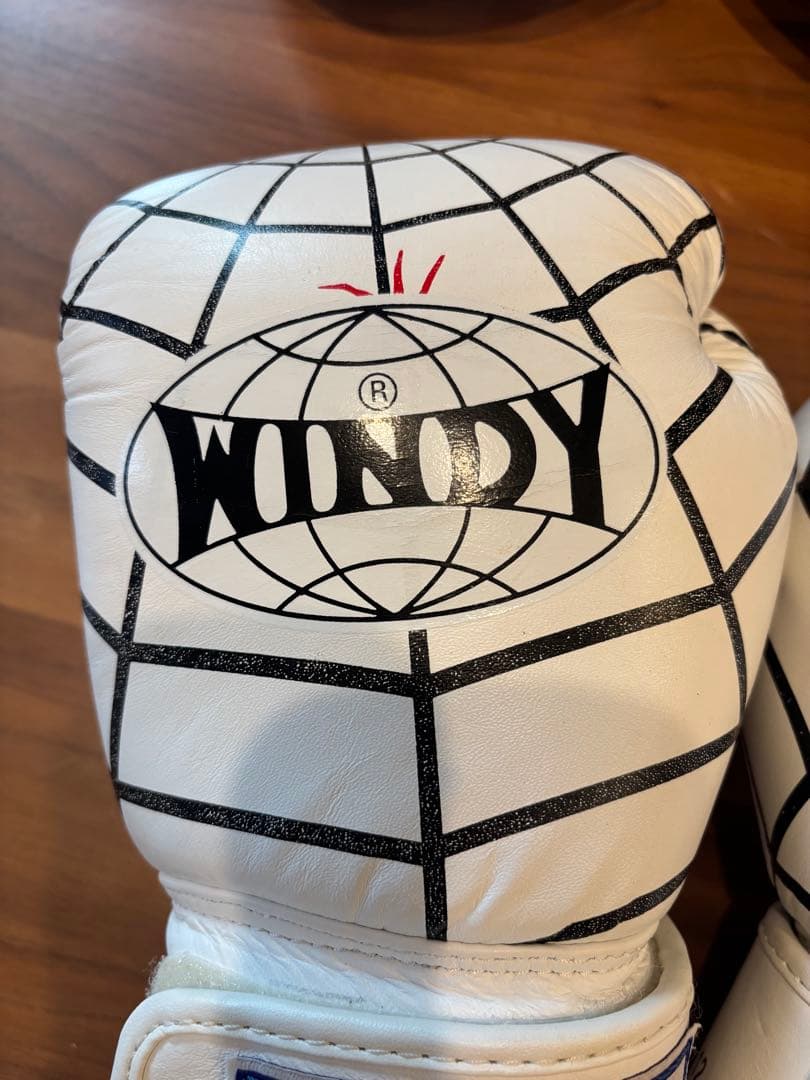 ディグ　WINDY ボクシンググローブ ホワイト