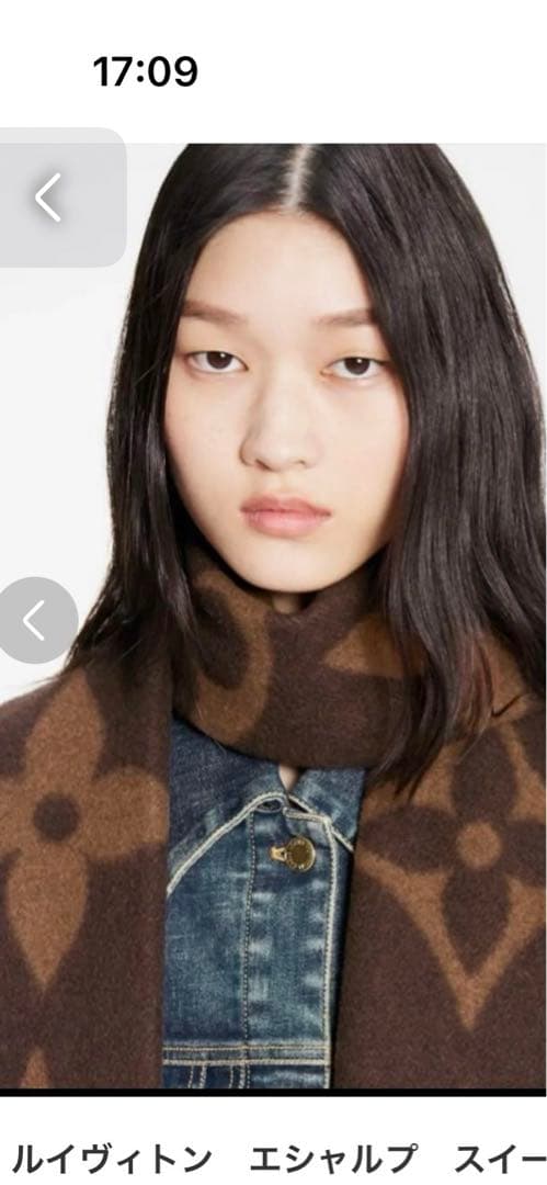 LOUIS VUITTON エシャルプ　スィートドリームマフラー