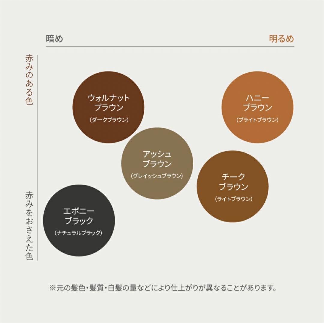 LPLP ルプルプ カラートリートメント チークブラウン 170g 2個セット