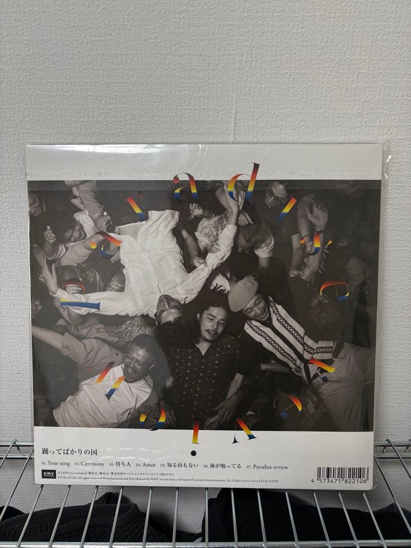 【新品未使用】踊ってばかりの国 Paradise review レコード