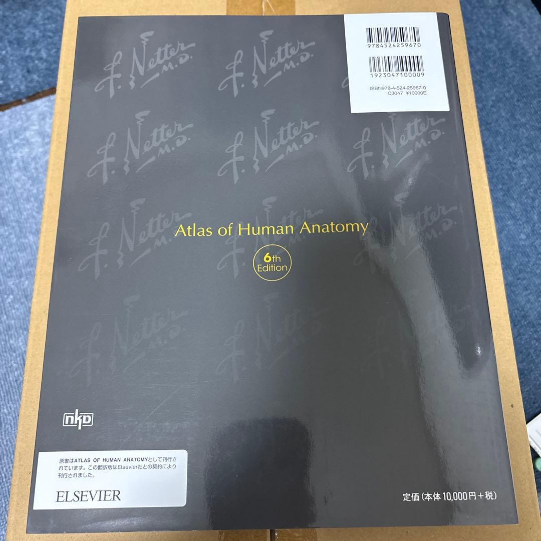 ネッター 解剖学アトラス　原書第6版　【新品未使用】