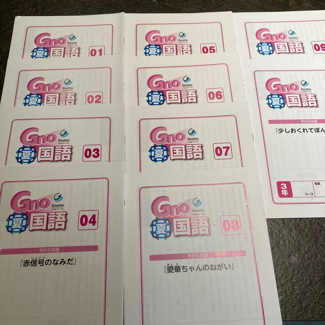 超希少【グノーブル】3年国語 　物語文・詩　全46冊セット　難関~最難関
