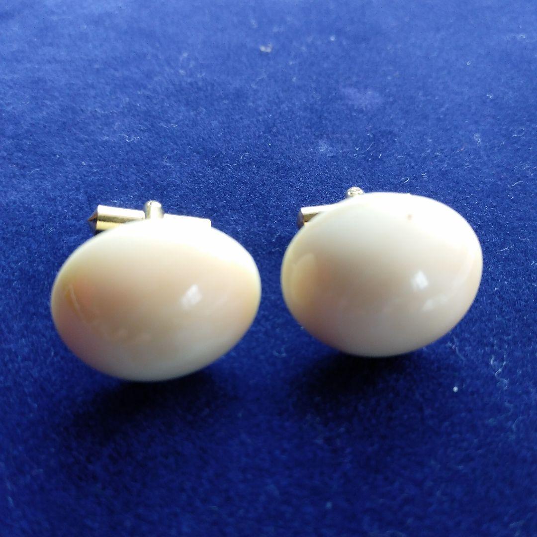 鯨歯　マッコウクジラ　カウス10セット（箱なし）