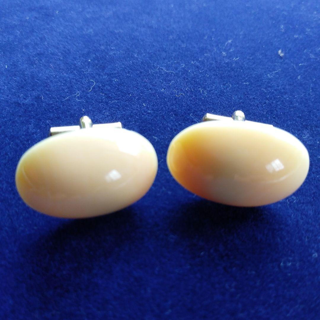 鯨歯　マッコウクジラ　カウス10セット（箱なし）