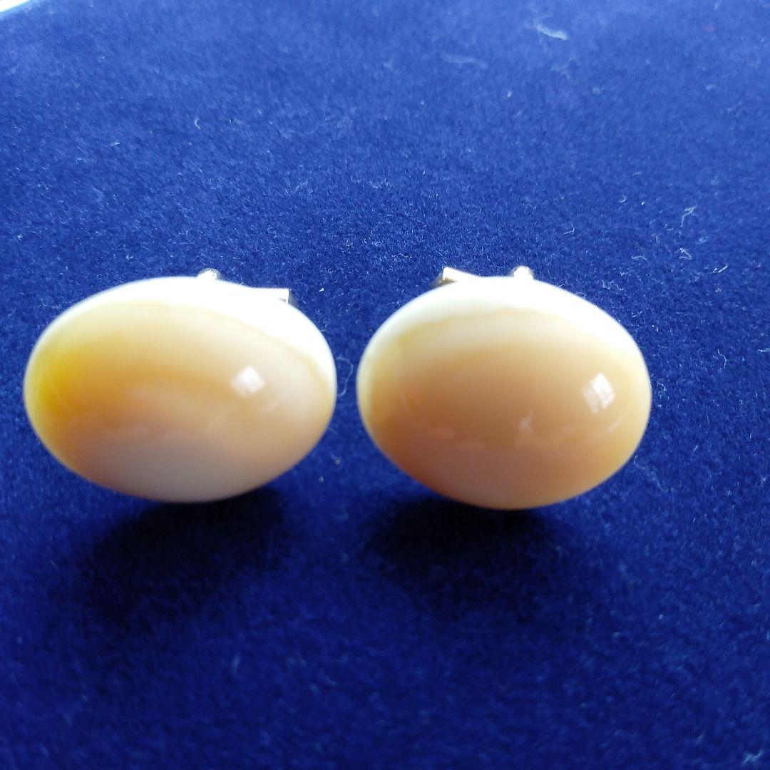 鯨歯　マッコウクジラ　カウス10セット（箱なし）