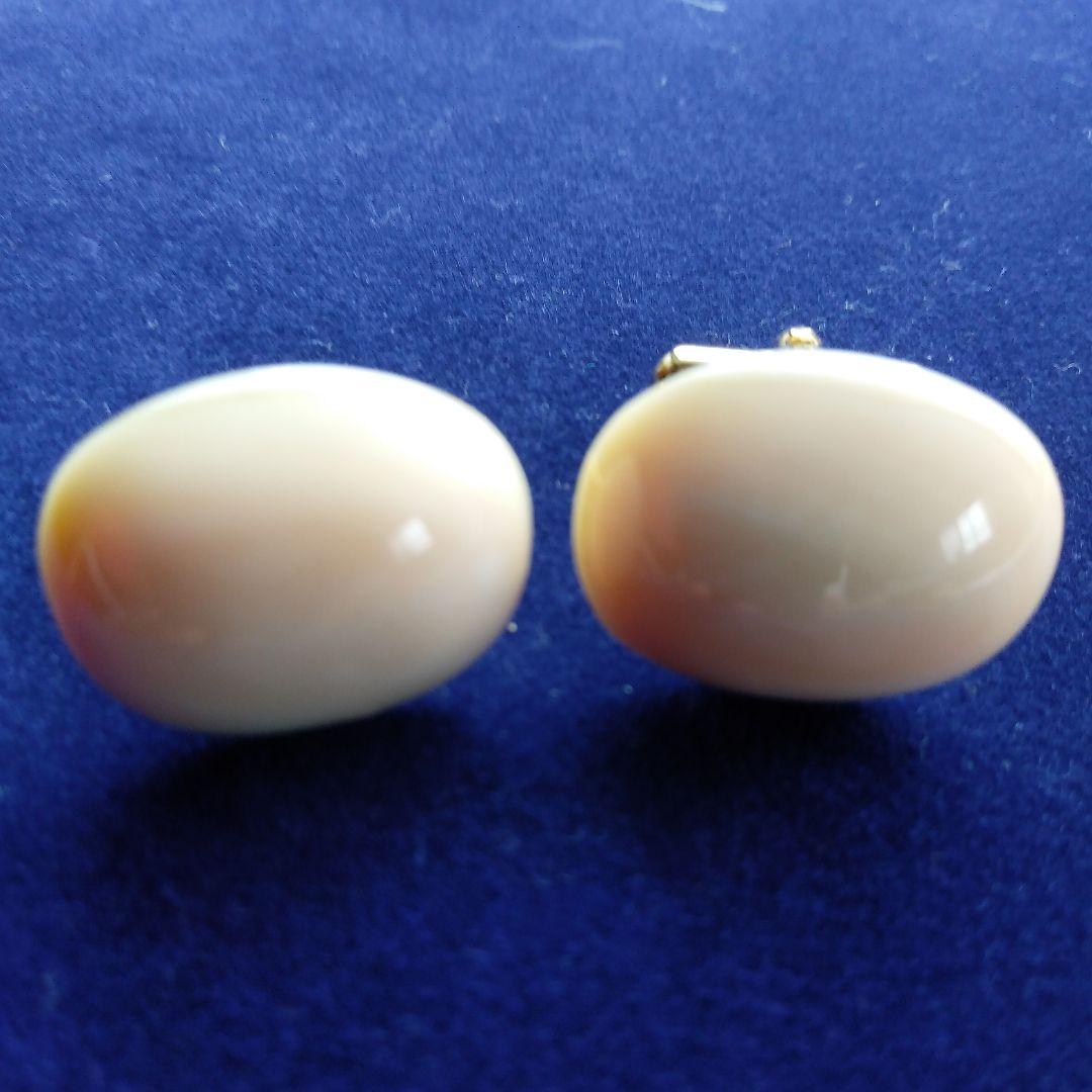 鯨歯　マッコウクジラ　カウス10セット（箱なし）