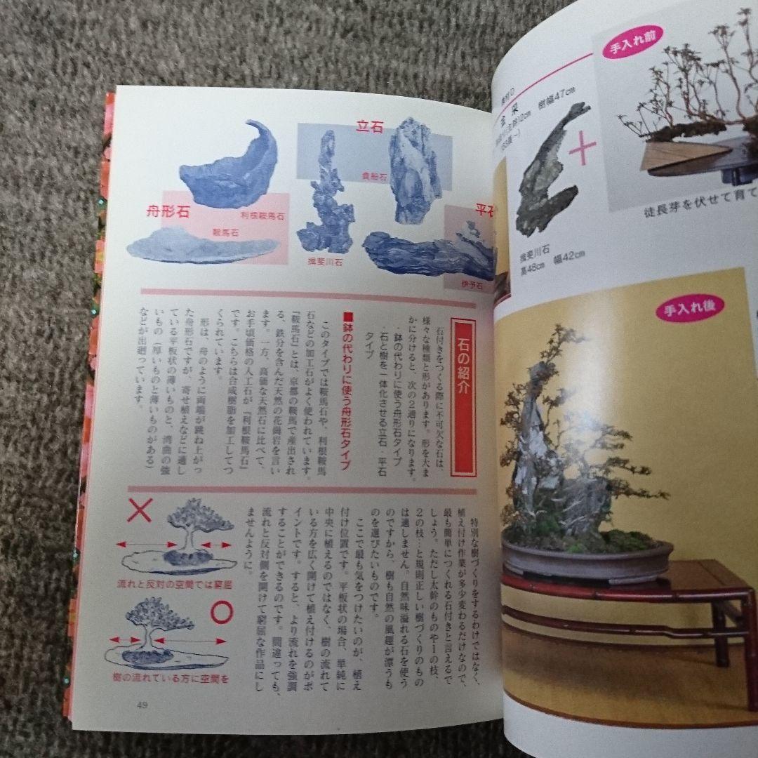 サツキ 樹形別のつくり方 第4巻 レア 盆栽