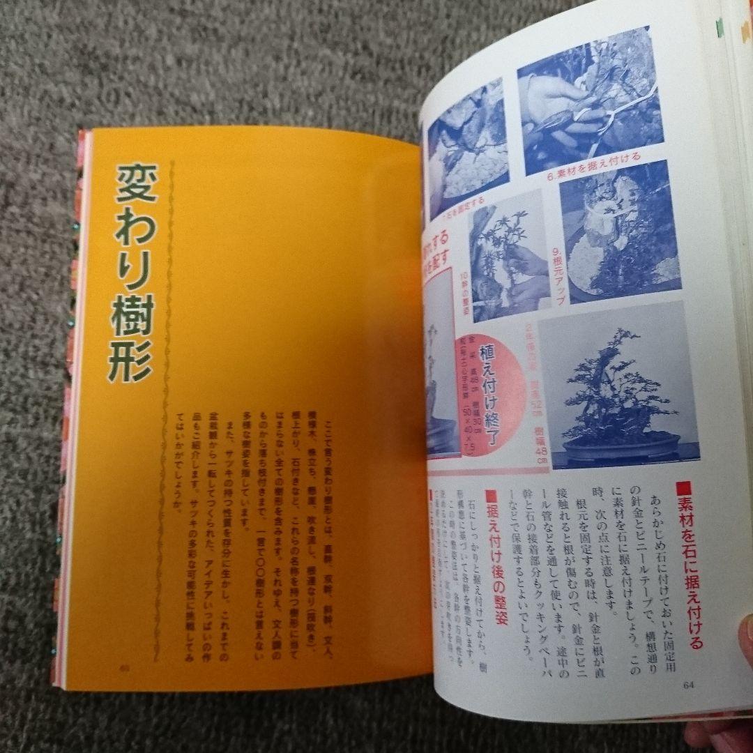 サツキ 樹形別のつくり方 第4巻 レア 盆栽
