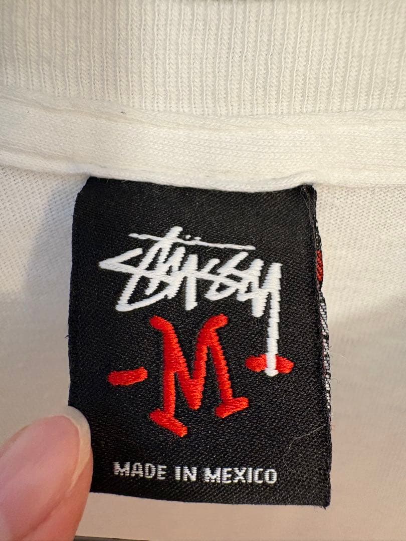 Stussy アップルバムWネーム　Tシャツ