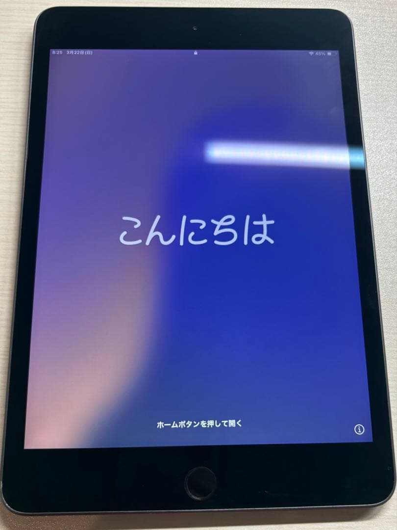 iPad mini5 Wi-Fiモデル 64GB 動作確認済み