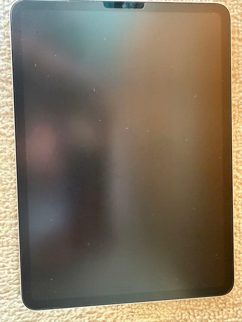 iPad Pro 11インチWiFiモデル 第4世代256GB スペースグレイ