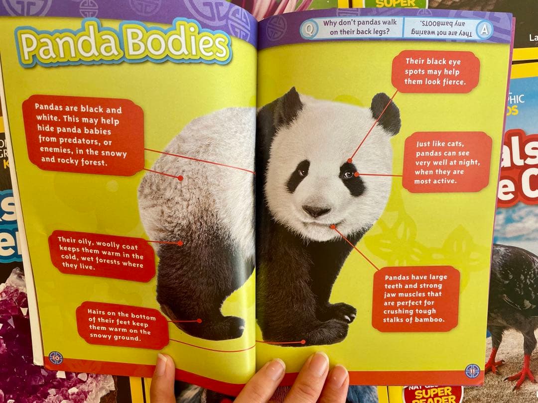 新品National Geographic Kids L2/41冊英語絵本　洋書