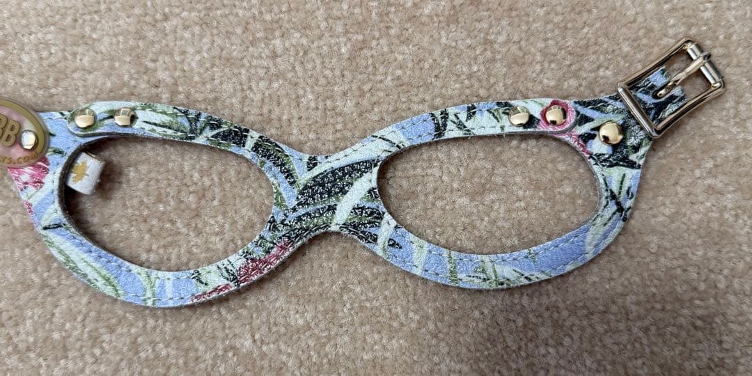 【限定モデル】BUDDY BELT バディベルト ハーネス2号・リード　セット