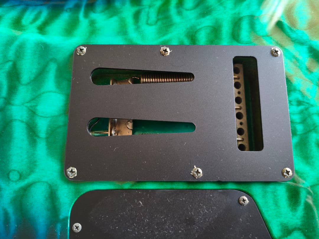 FERNANDES エレキギター FGZ