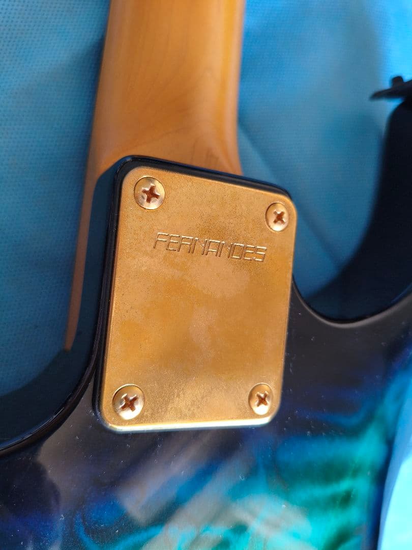 FERNANDES エレキギター FGZ