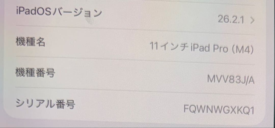 .*様 iPad Pro 11インチ M4[256GB] Wi-Fiモデル ブラ
