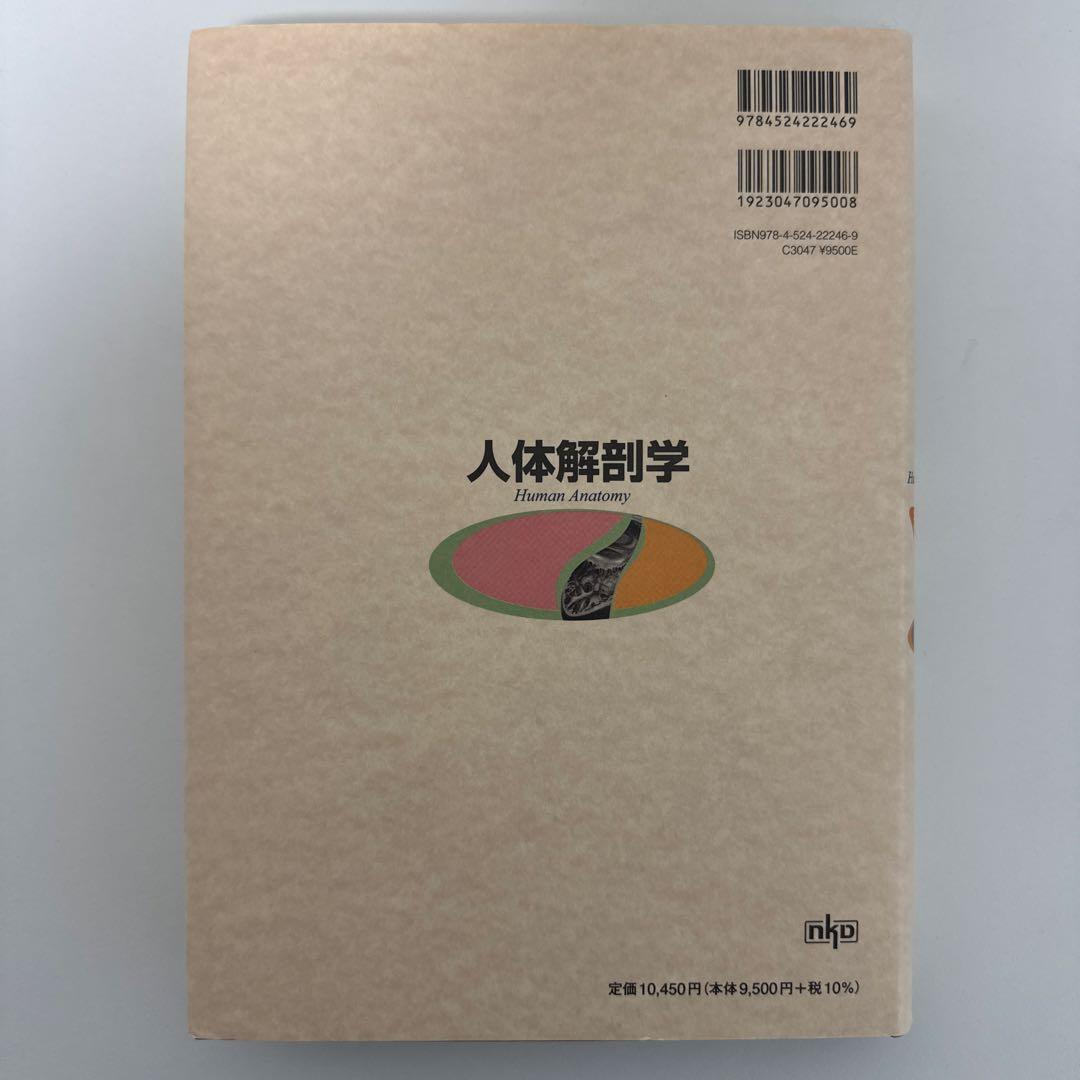 人体解剖学