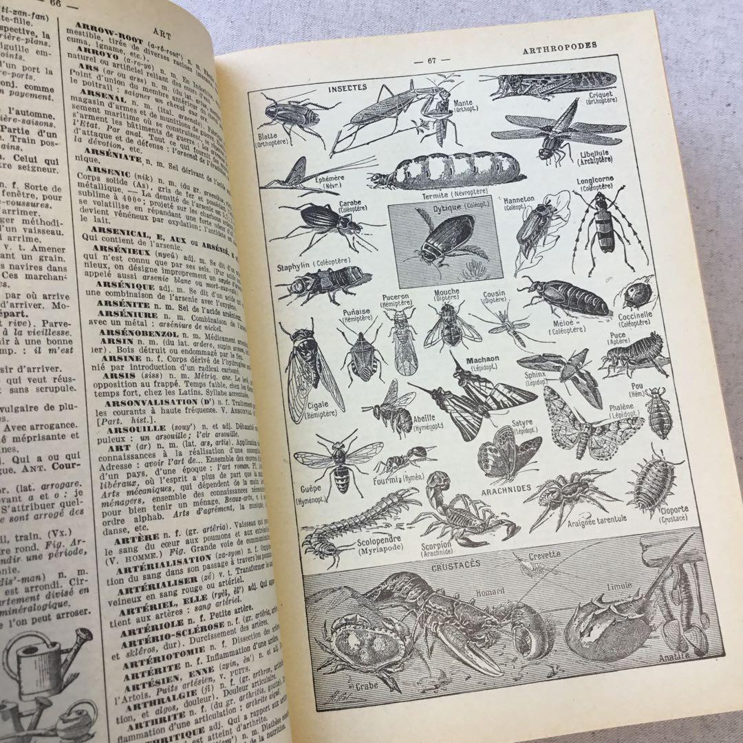 フランス 洋書 ラルース百科事典 ジャンクジャーナル素材 インテリアにも