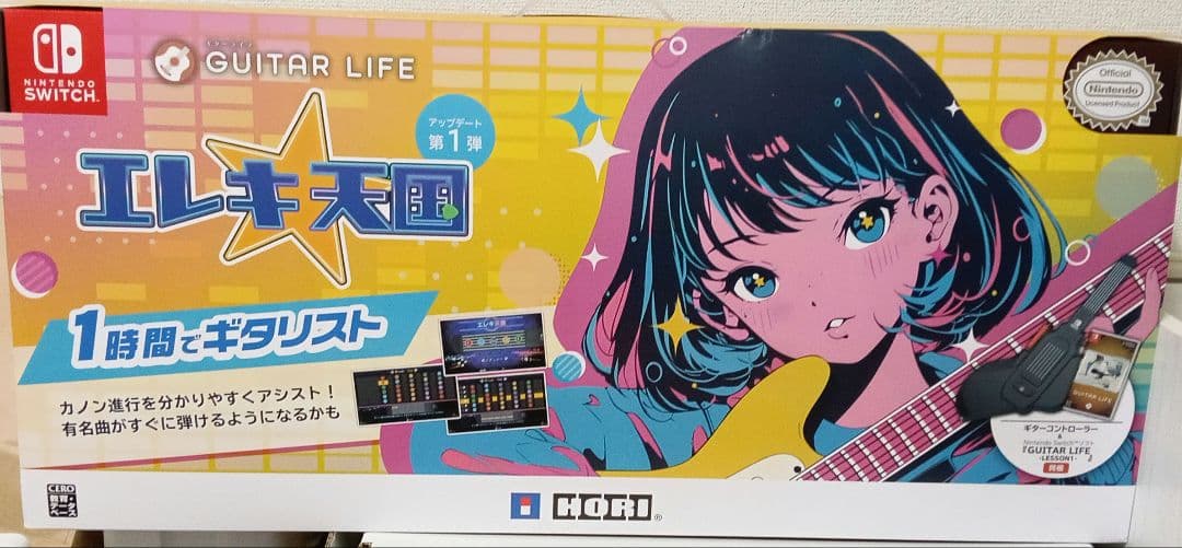 Switch GUITAR LIFE -LESSON1- 付属品完備