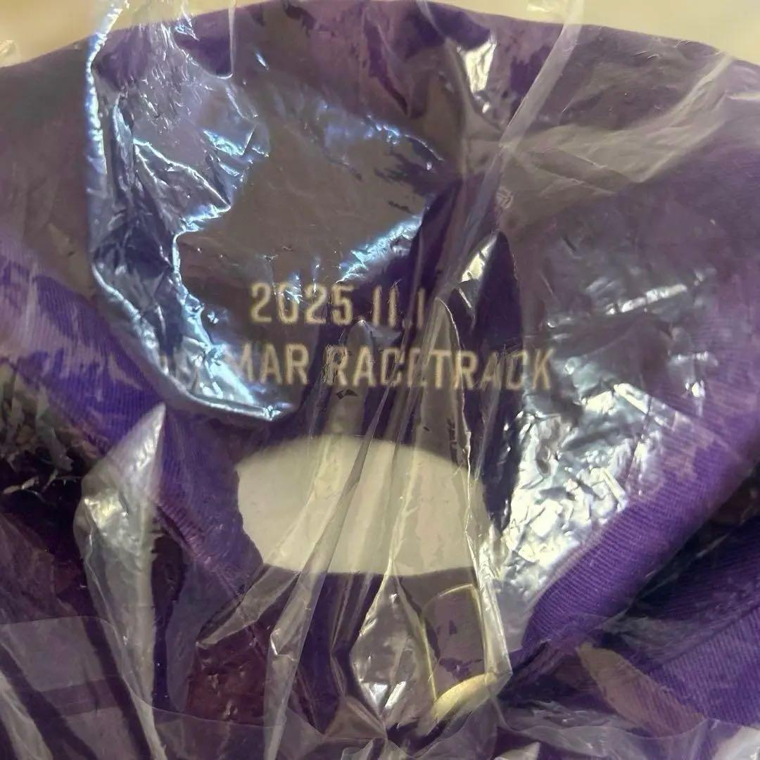 JRA 非売品　フォーエバーヤング　キャップ　帽子　ポストカード