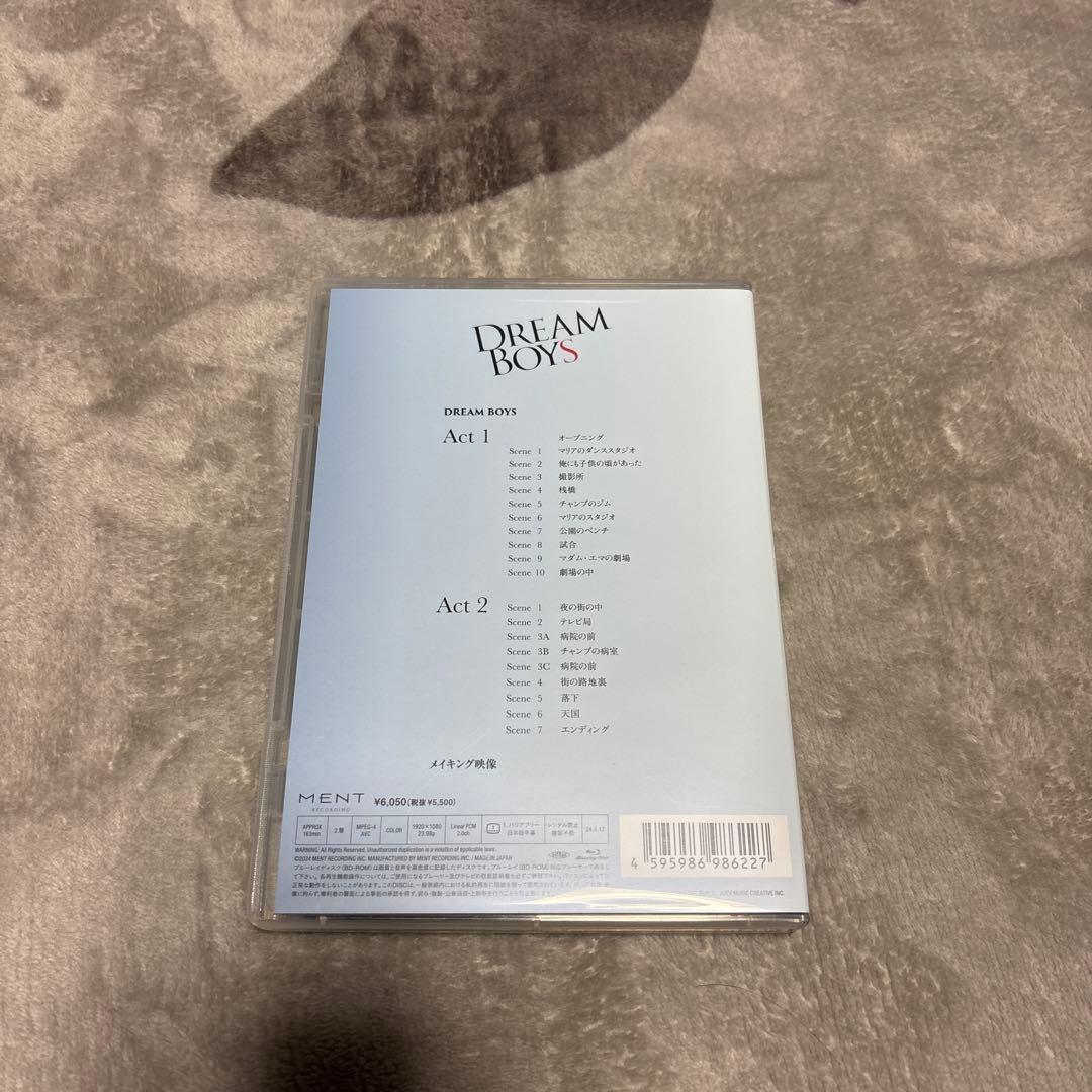K-POP・アジア DREAM BOYS DVD