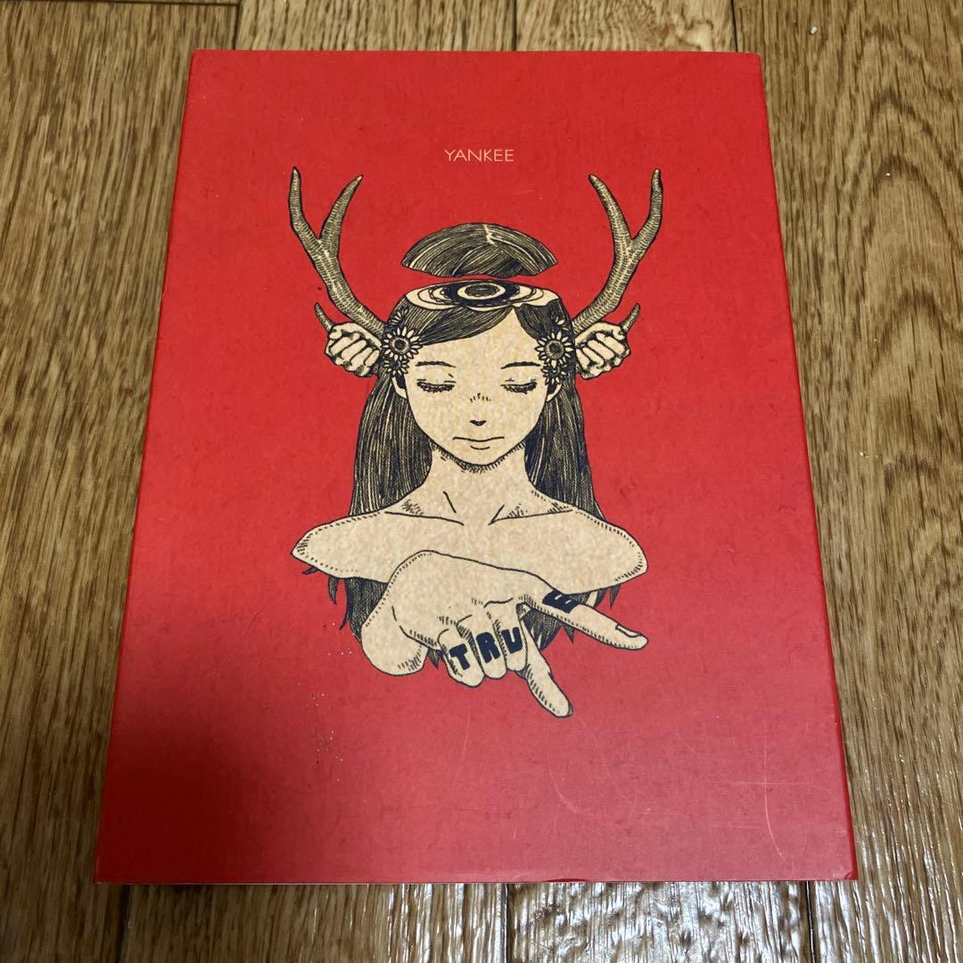 米津玄師 YANKEE 画集盤