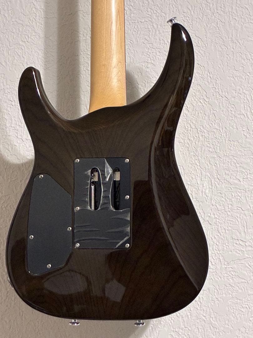G-Life Guitars DSG Standard ギター