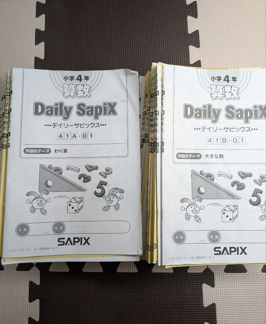 サピックス　SAPIX　小学４年生　2024年度　１年分　フルセット