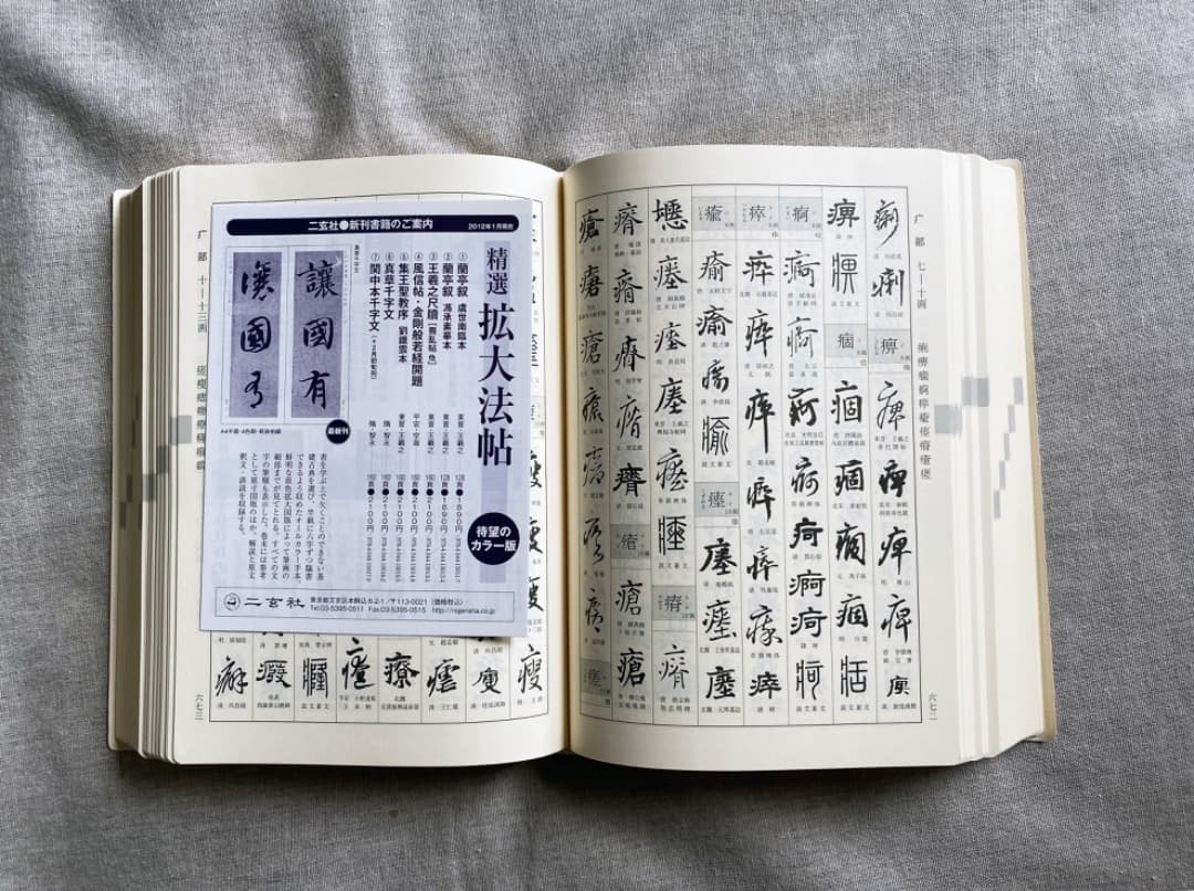 新書源 二玄社 極美品