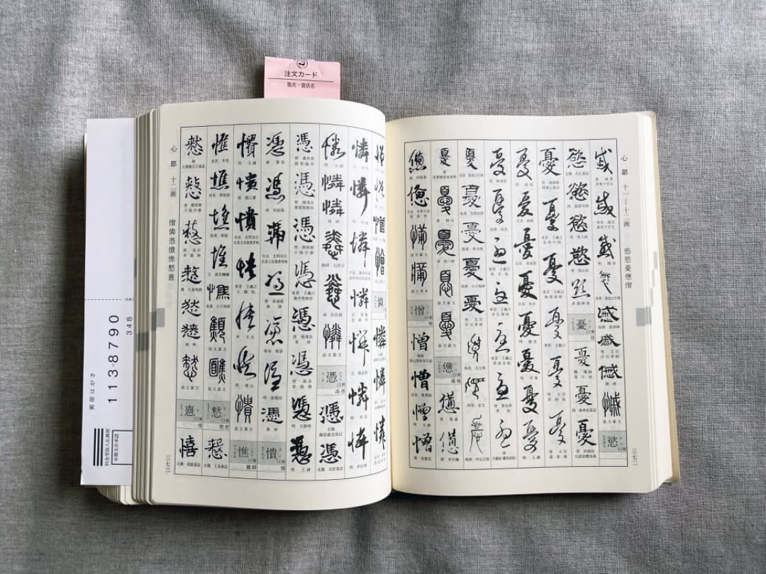 新書源 二玄社 極美品