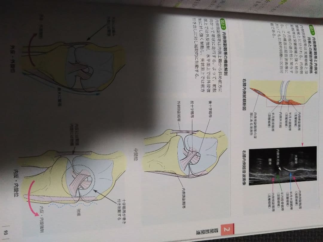 触診技術　理学療法　作業療法　qb　PT OT 国家試験　実習　新人　リハ即配送