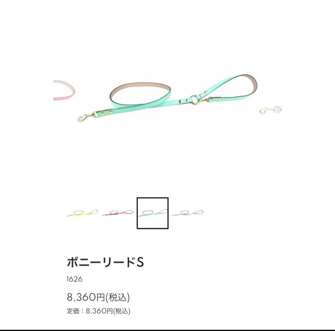 新品 BIRDIE ボニーリードS 本革 ブルー