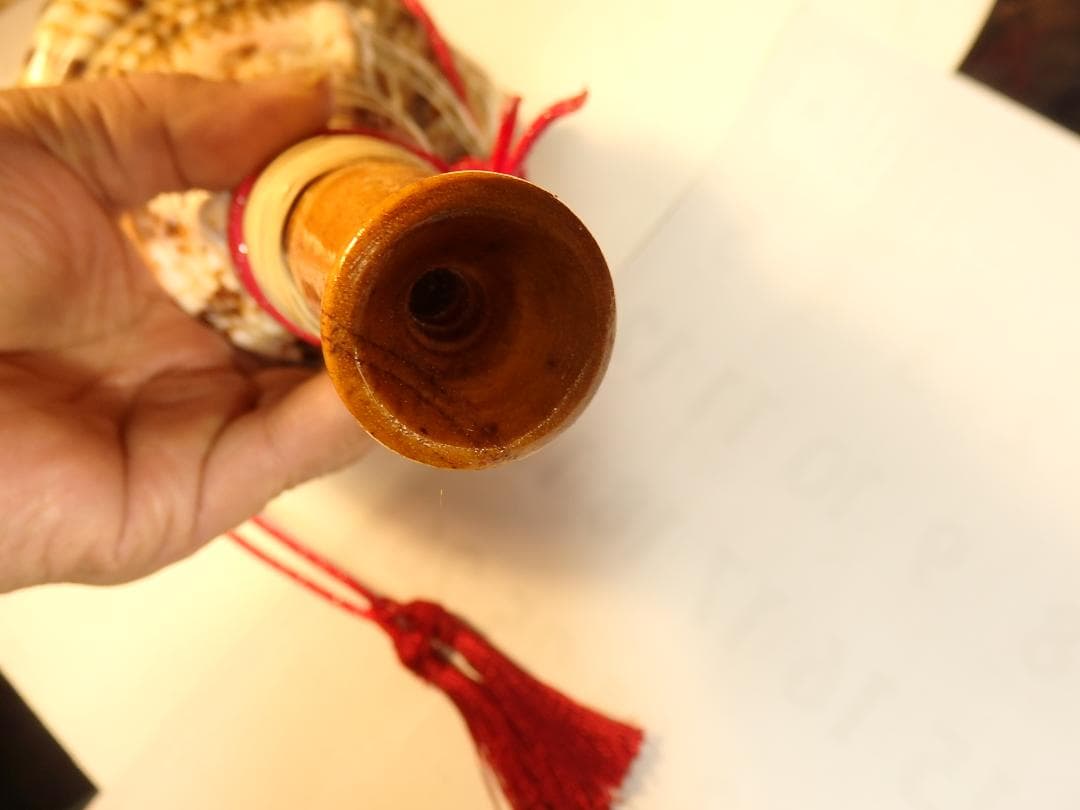 法螺貝 約41.5㎝ 木製歌口,赤紐付　新品　 MH-449