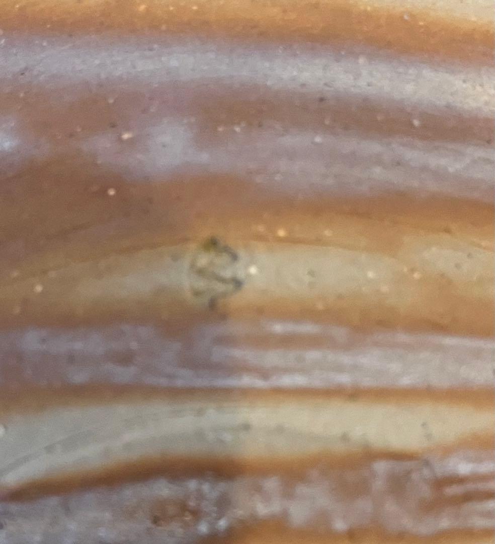 備前焼緋襷　サラダ皿　6枚揃　緋襷 南燦窯 桐箱 5寸皿
