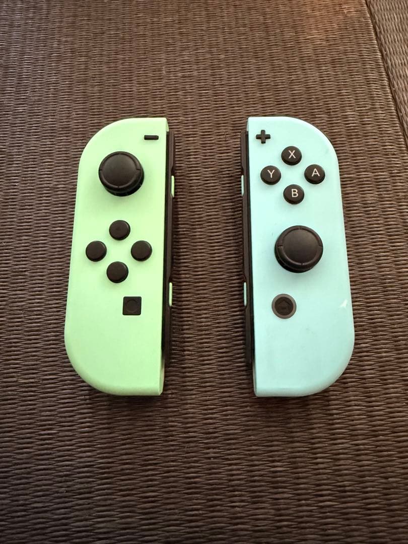 Nintendo Switch 本体 どうぶつの森　限定カラー