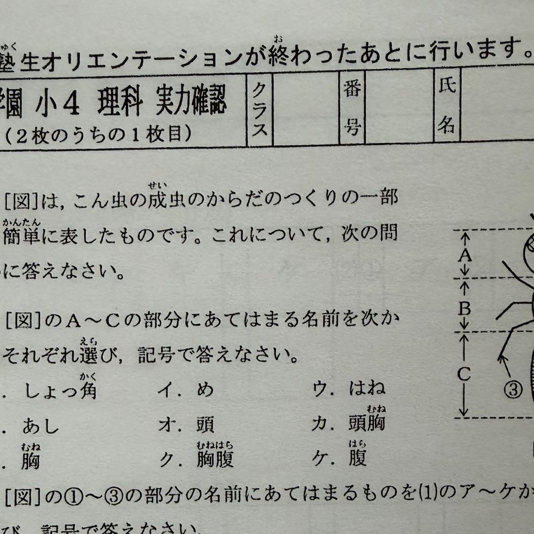 浜学園　復習テスト　Vクラス　最新　小4 理科 算数　国語　3科目　即発送