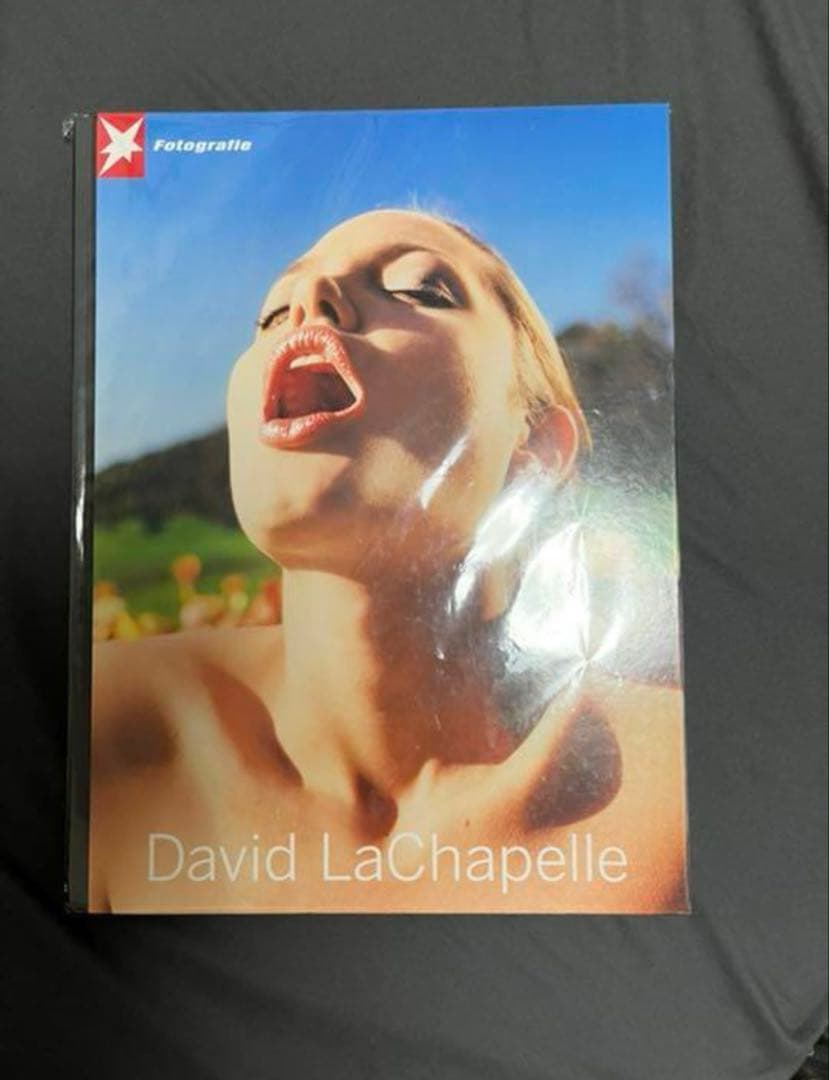 洋書 DAVID LACHAPELLE stern fotografie