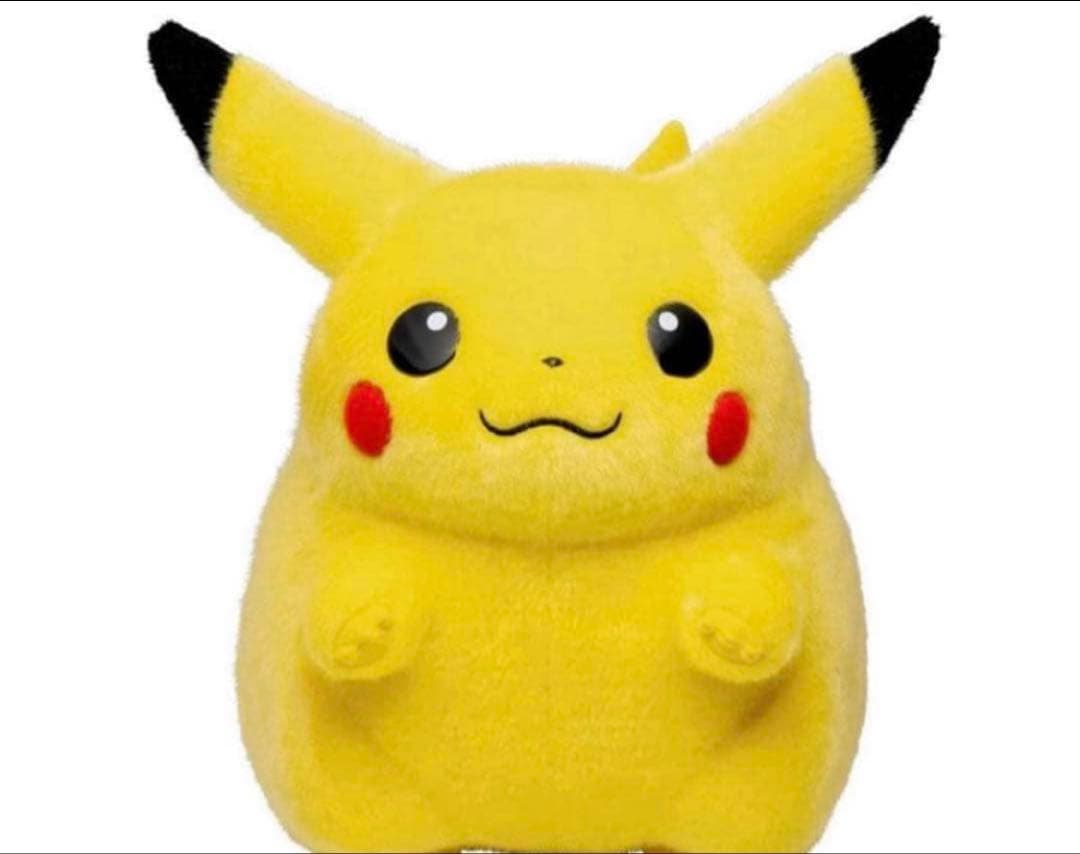 12時間以内発送　新品　ポケモン30周年記念おかえり!ピカチュウ1/1