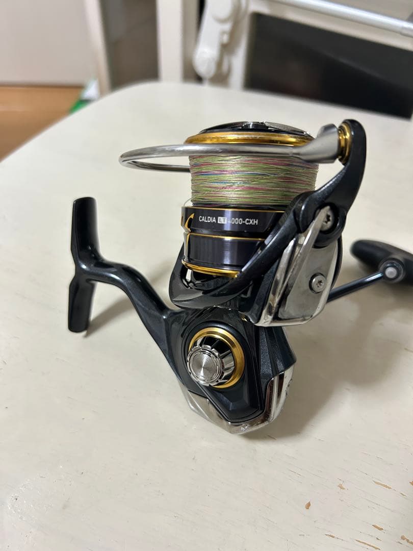 ひ*ろ様 Daiwa 21 カルディアLT4000-cxh