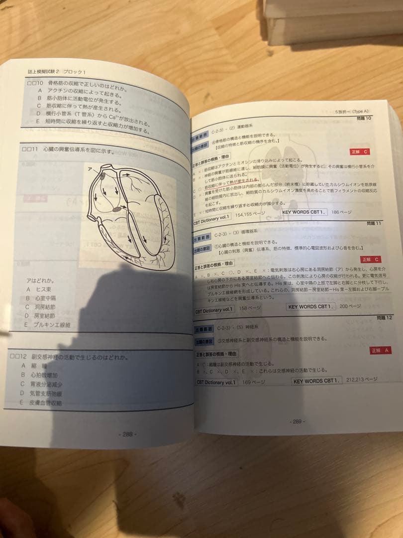 CBT辞典　L