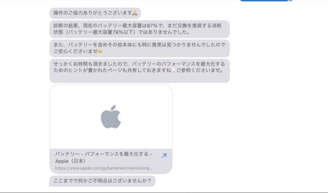 12.9インチ iPad Pro256GB第四世代 cellular モデル