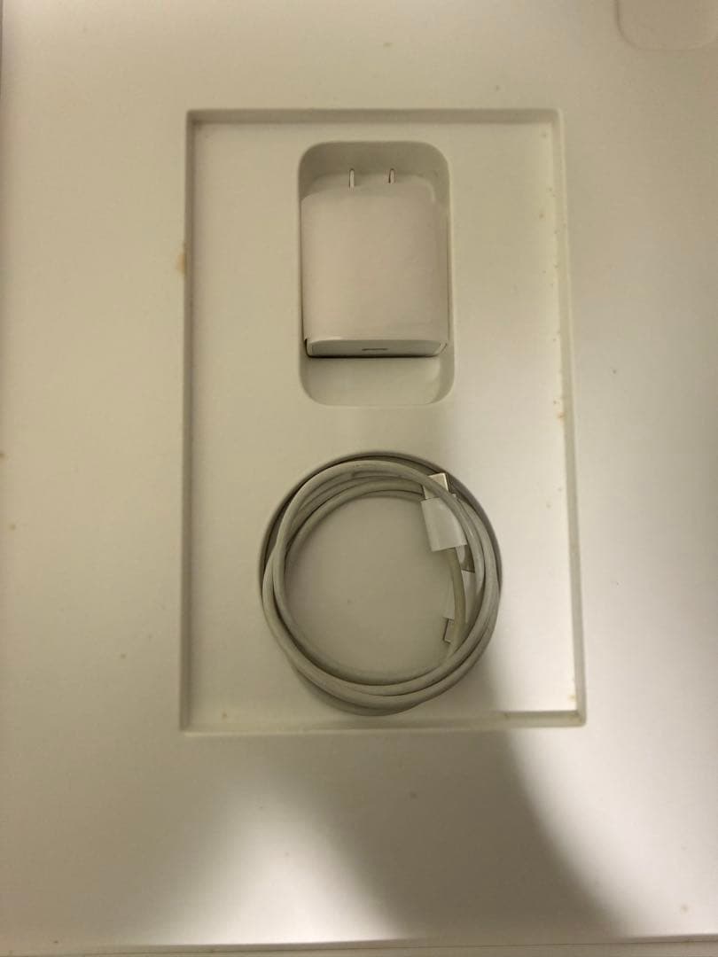 12.9インチ iPad Pro256GB第四世代 cellular モデル